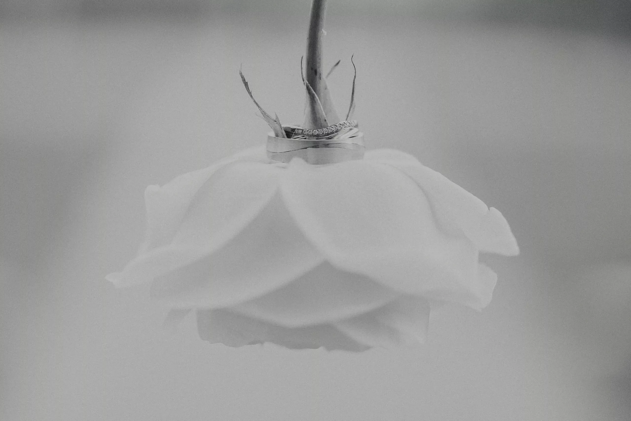 Le Prix d’un Photographe de Mariage en Suisse Romande : Ce Qu’il Faut Savoir